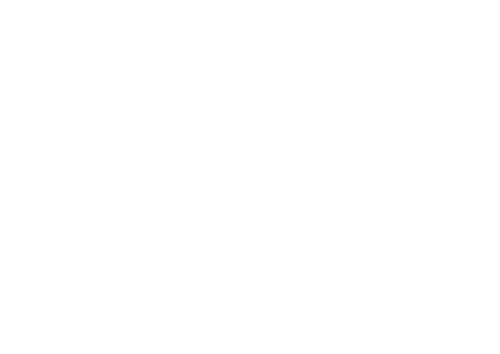 FV3 Digital